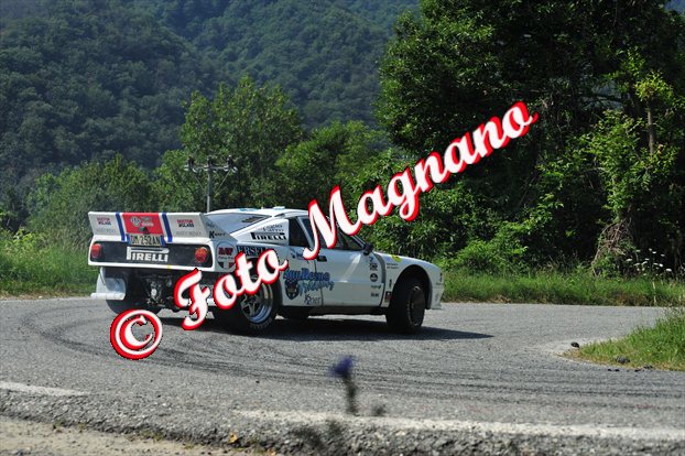 DSC_3130.jpg